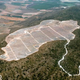 Illustration for article titled Worlds Largest Solar Farm Opens: A Billion Trees Probably Died to Build It